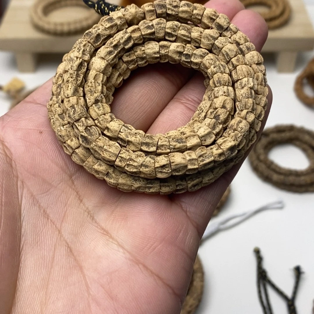 热振柏香籽斜切多楞脏鬼肠108一条