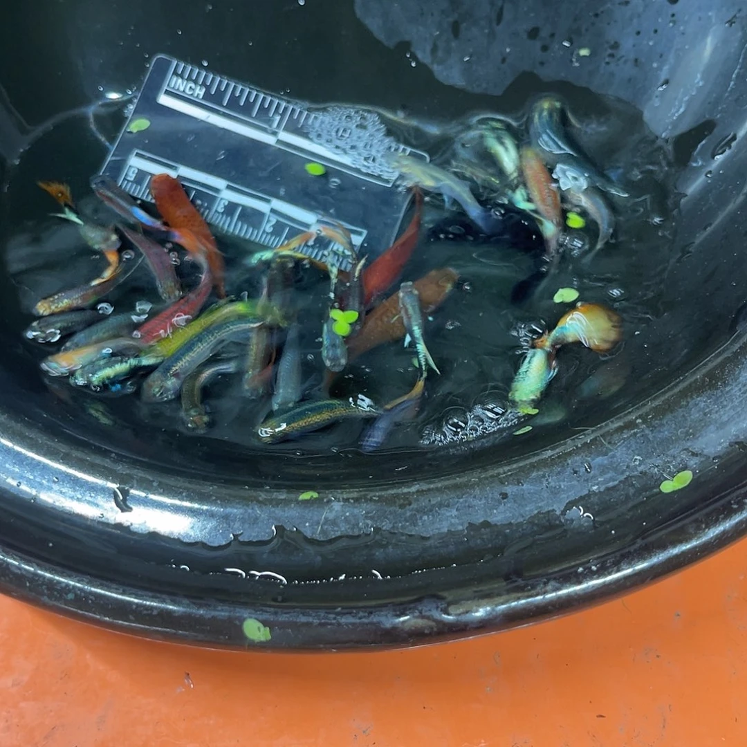 海水5号哈哈哈哈哈哈