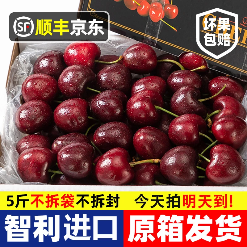 3JD特大果【今天拍明天到】智利进口原箱车厘子孕妇宝宝水果内附果径卡2500g海运DDL桑提娜樱桃智利共和国