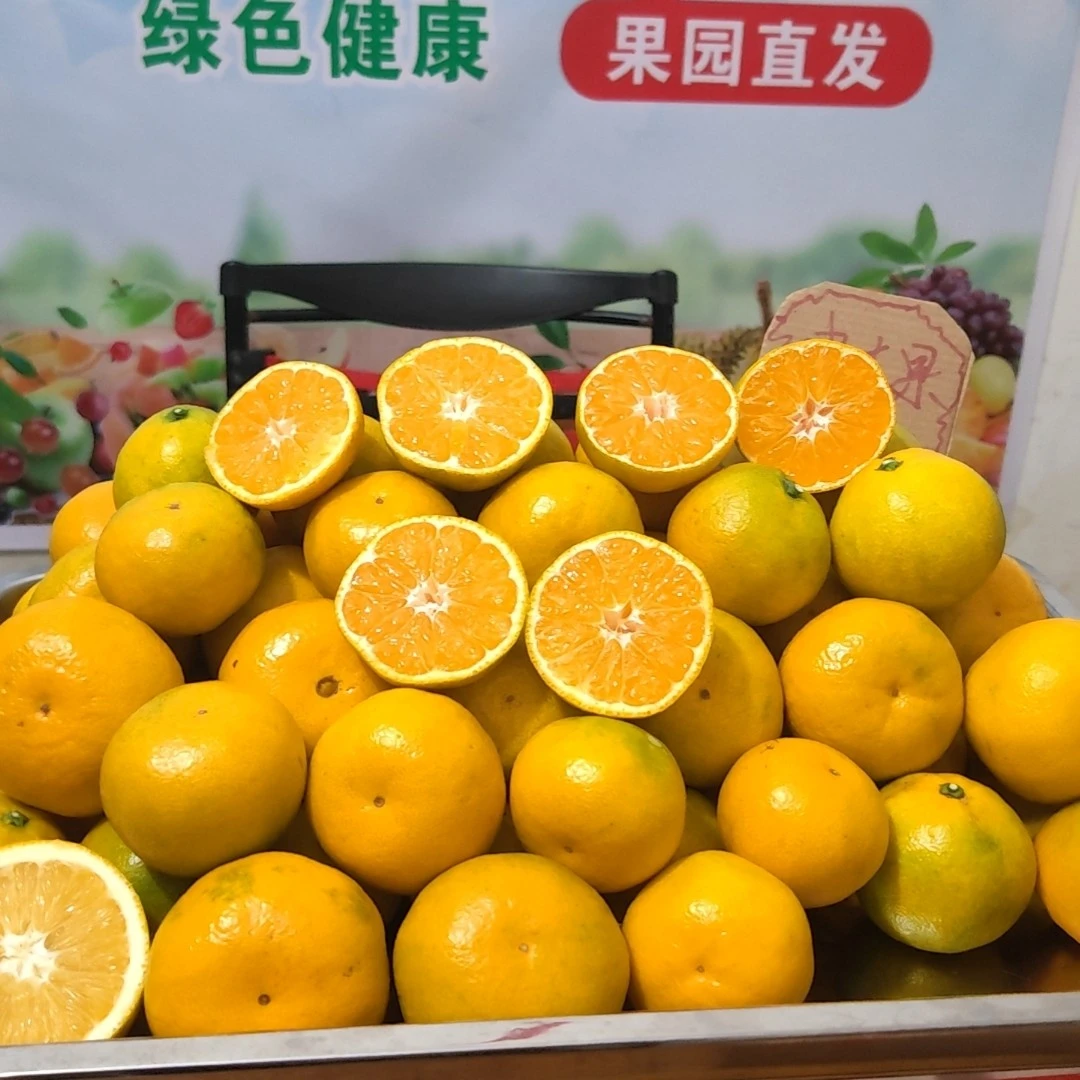 江永回峰蜜橘当季现摘新鲜香甜应季水果