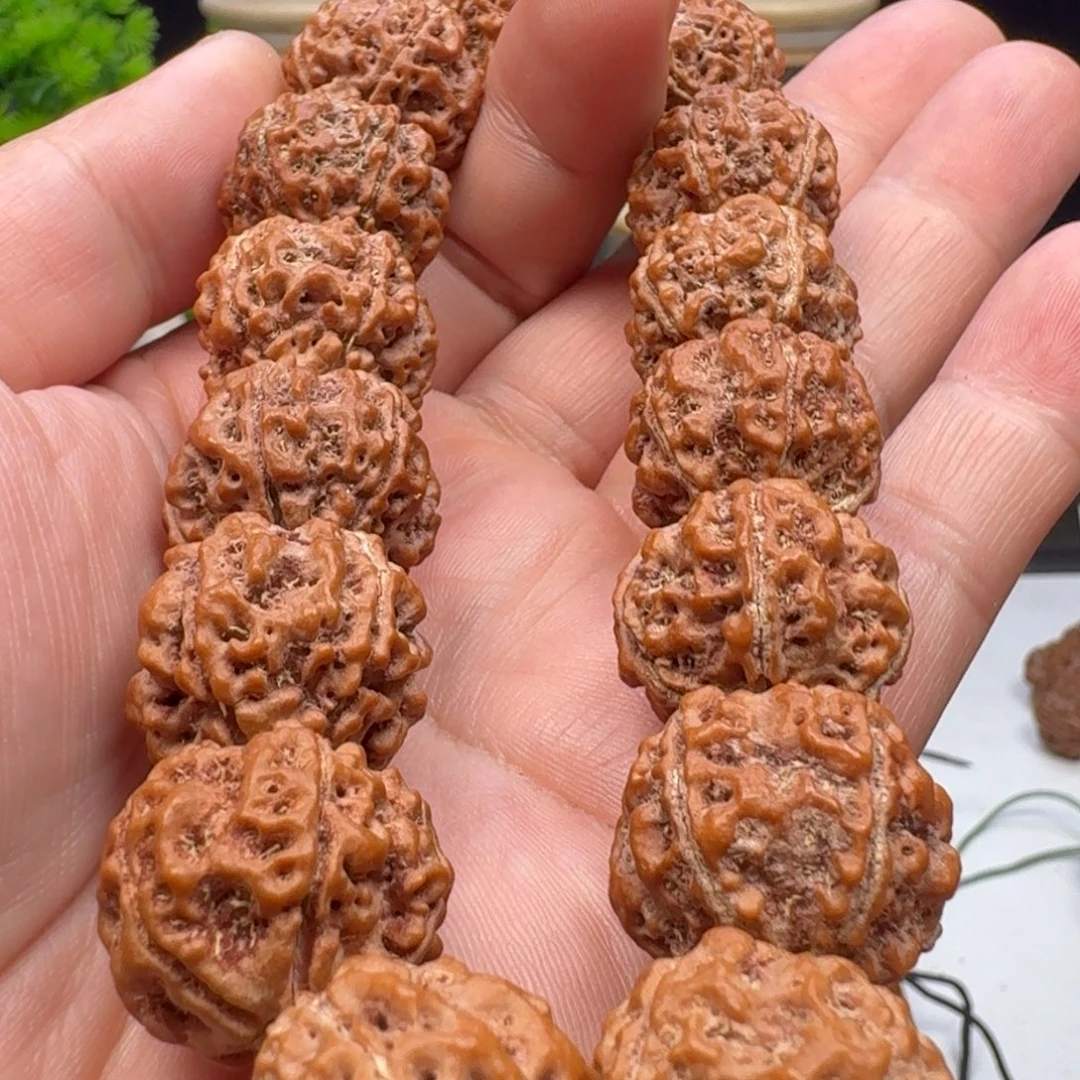 金刚菩提手串姜黄皮五星蜂王