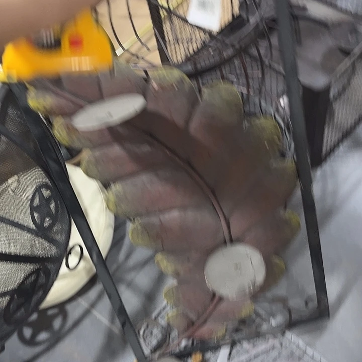 孤品给力炸炸炸炸炸炸