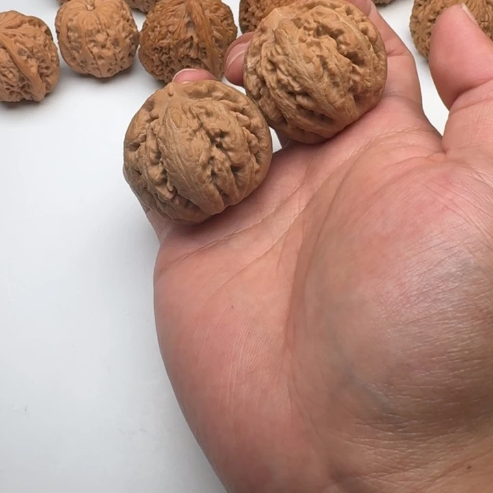 我***风核桃霸王龙福利对