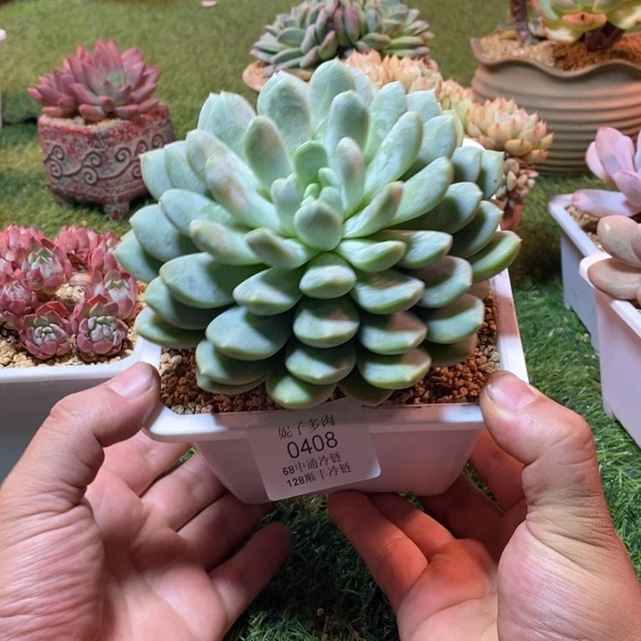 0408啊啊啊啊啊啊啊啊啊啊啊