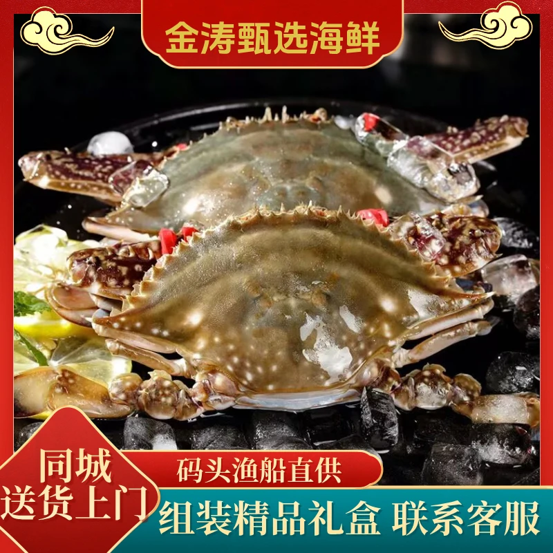 【保鲜不保活】海捕鲜活梭子蟹 1-4两/只 3-7只/斤包邮配送到家同城