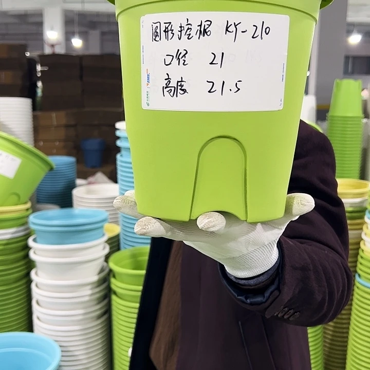 正品圆控口21高21果绿8只无托