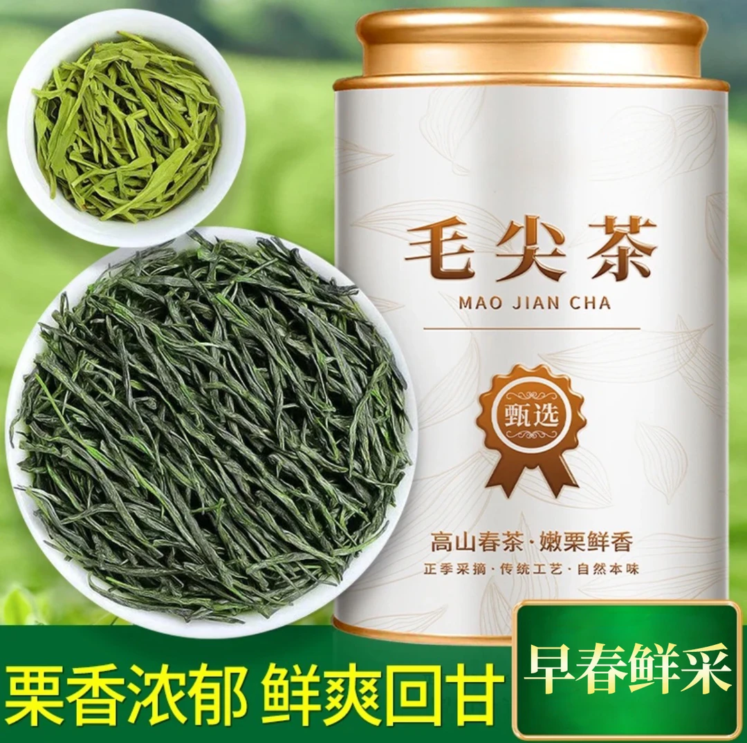 新茶毛尖绿茶明前嫩芽春茶高山云雾毛尖浓香耐泡型茶叶散装