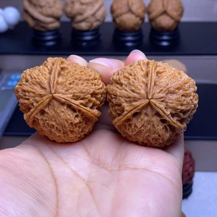 文玩核桃把件金狮六面蟾33