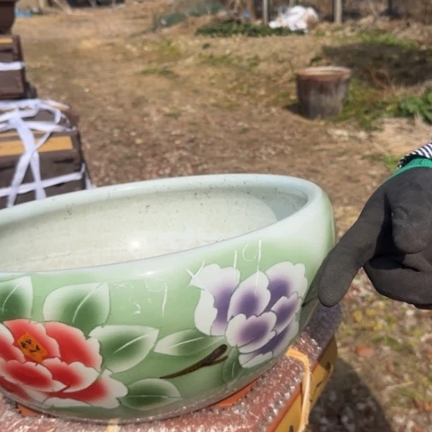 紫砂花盆紫砂花盆盆盆景盆栽