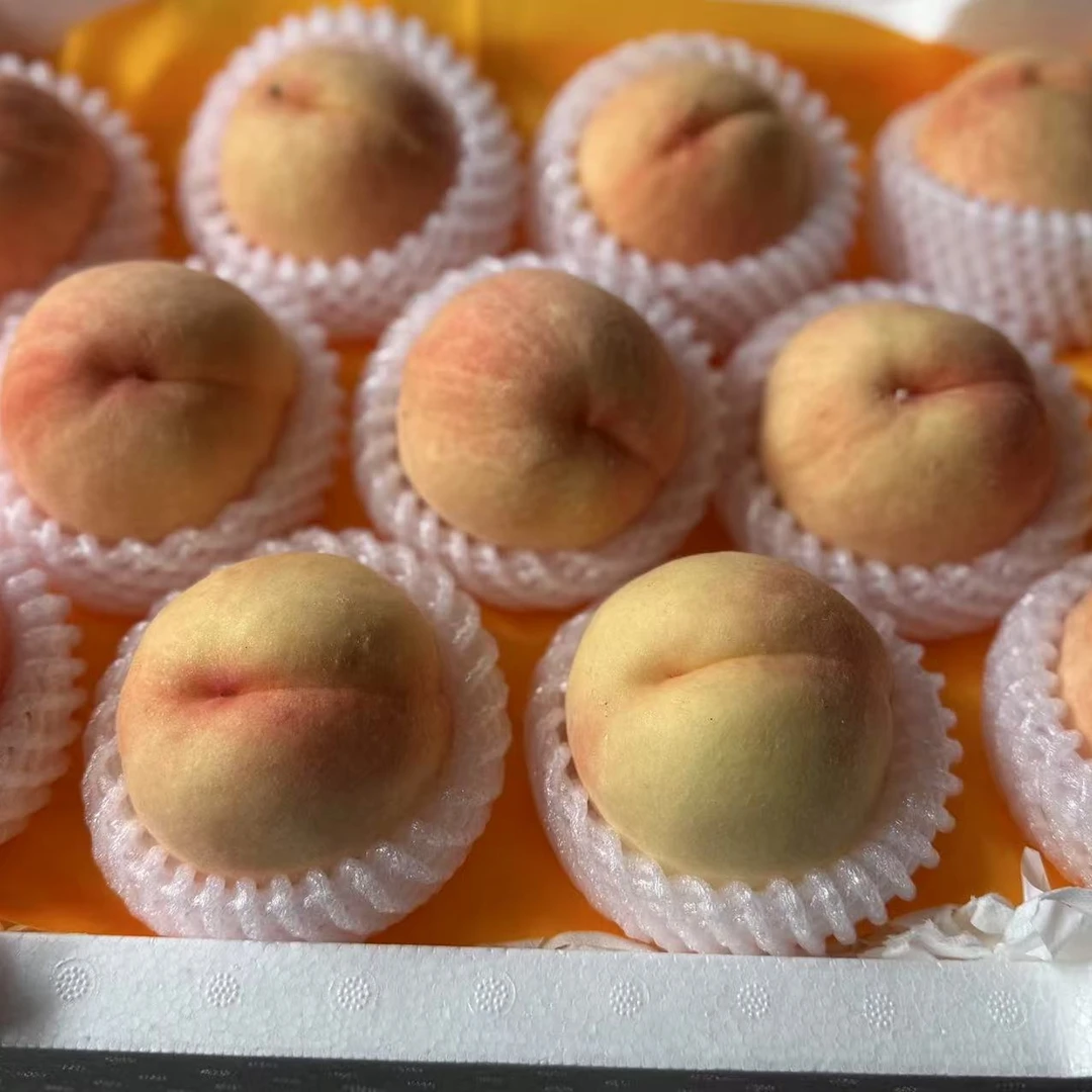 帅帅水蜜桃1箱（8-9颗装）江苏省
