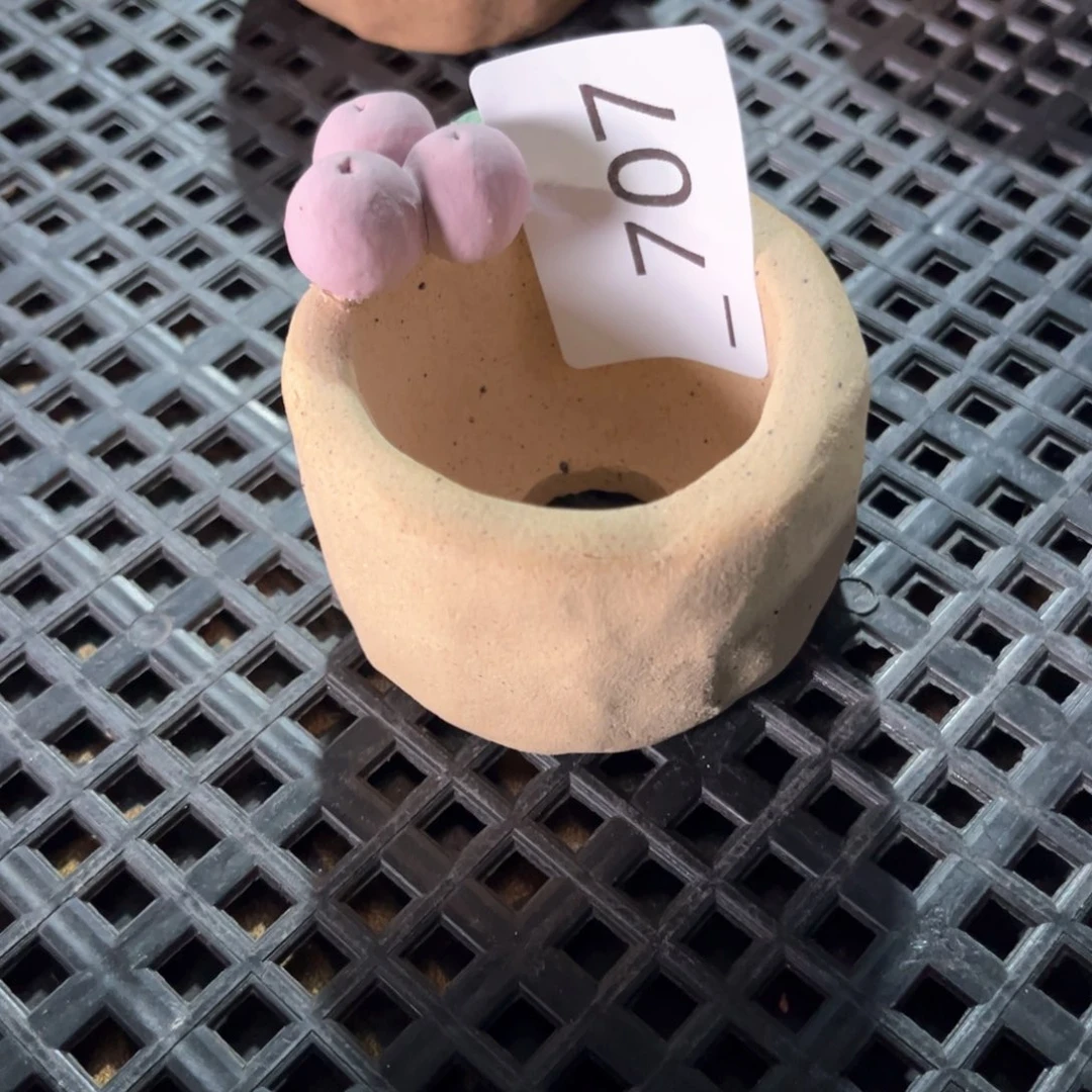 红陶707花盆  1个