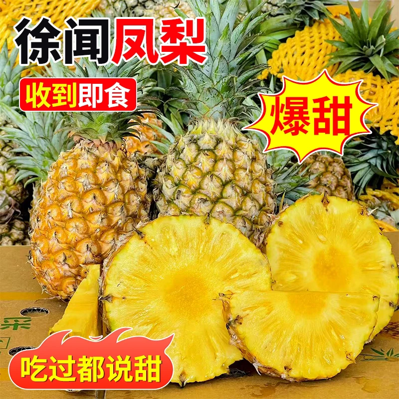 【超甜】现摘徐闻钻凤梨新鲜应季水果手撕无眼大菠萝一整箱批发