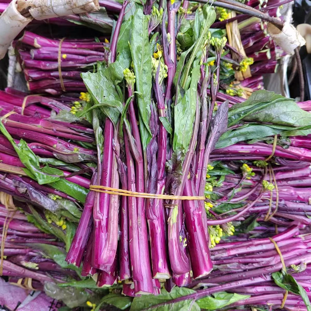 <菜苔>农家自种红菜苔