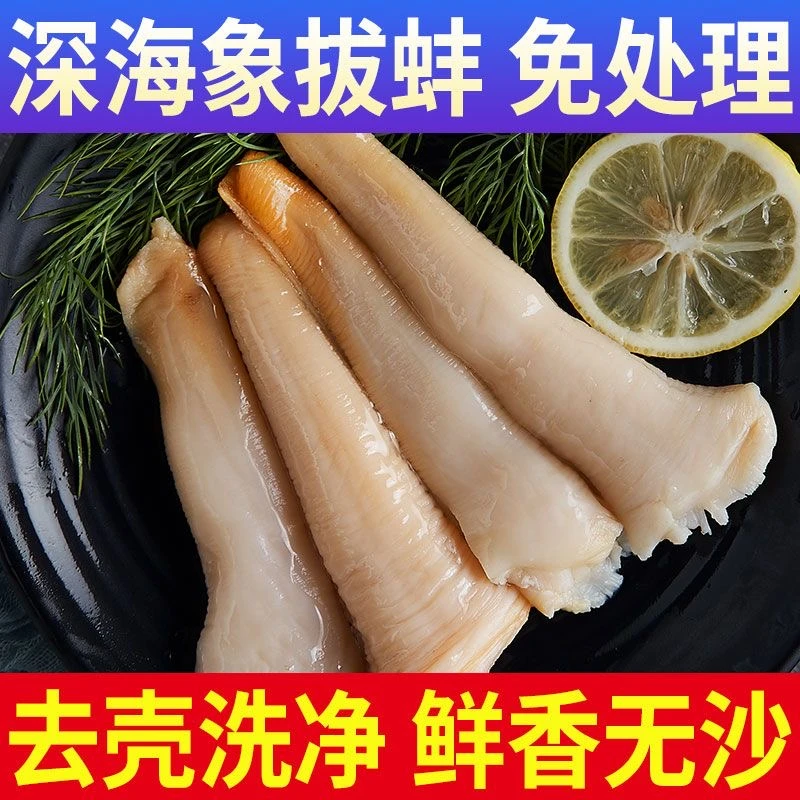 【象拔蚌】去壳纯肉肉质细嫩脆爽 海鲜刺身切片即食顺丰京东包邮