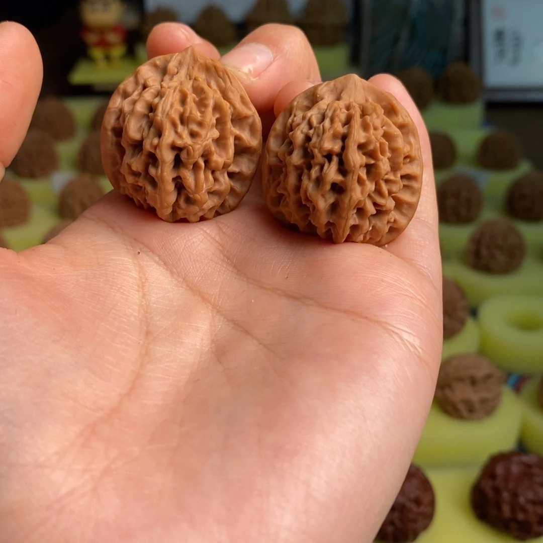 核桃秦岭闷尖狮子头29