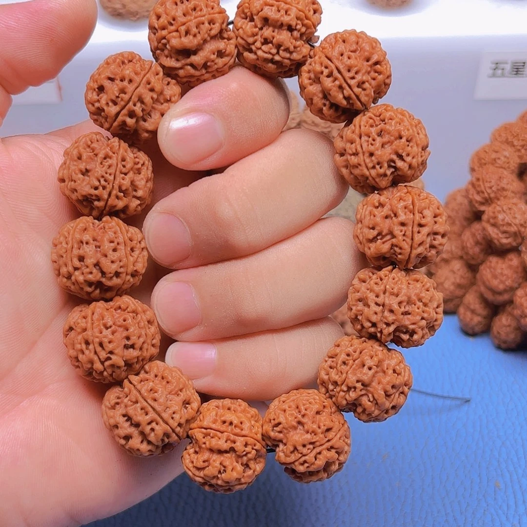 手串金刚菩提23mm安娜蜂王