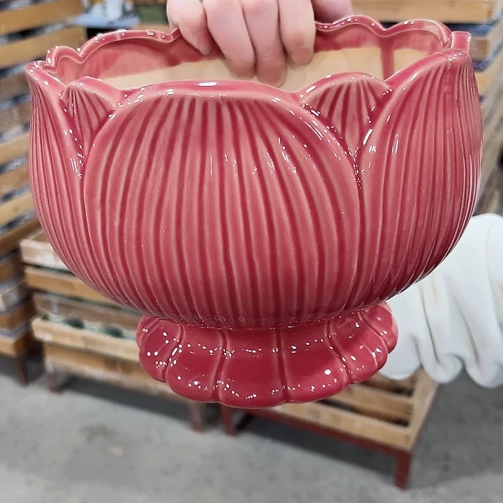 陶瓷陶瓷多肉植物花盆