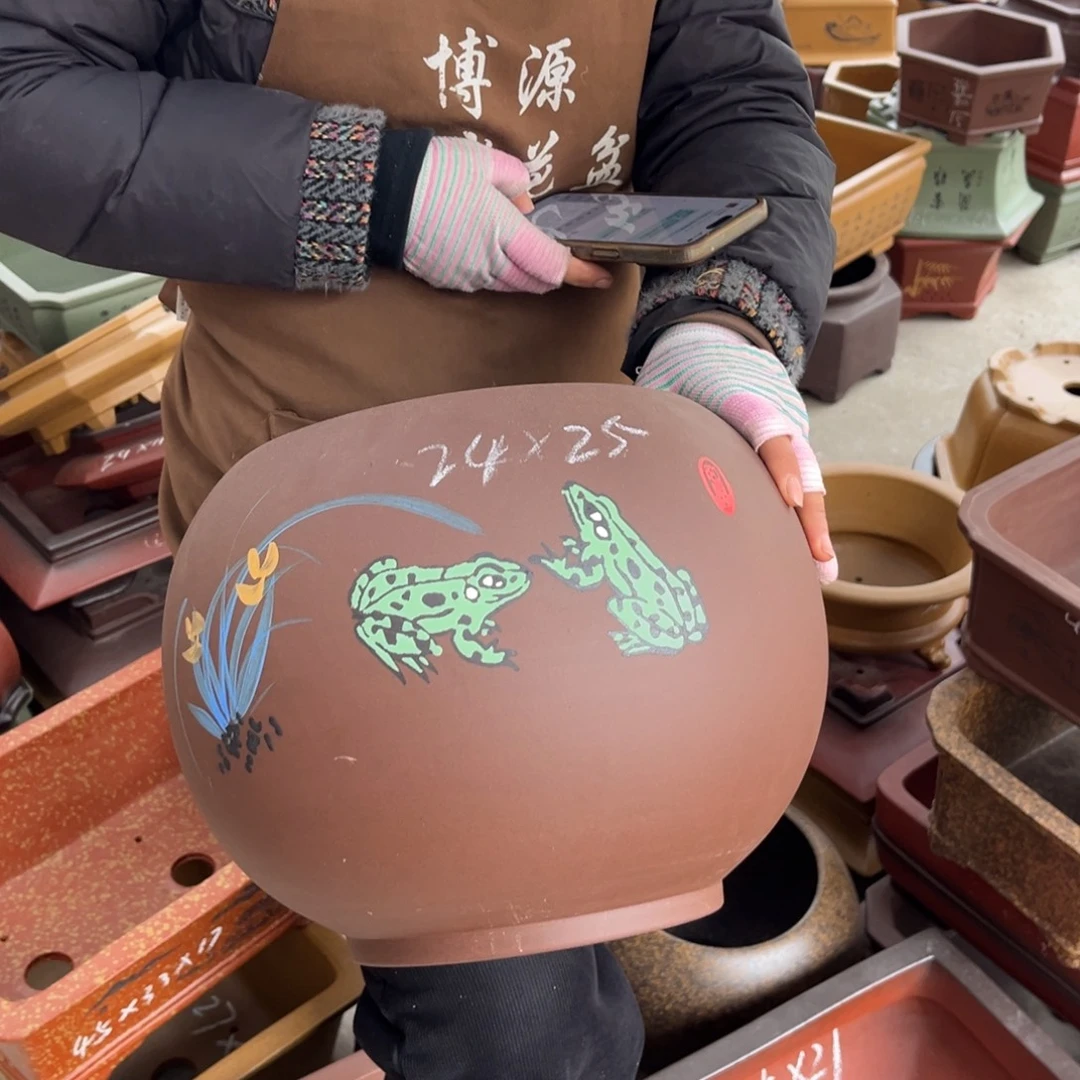 花盆紫砂盆景艺术