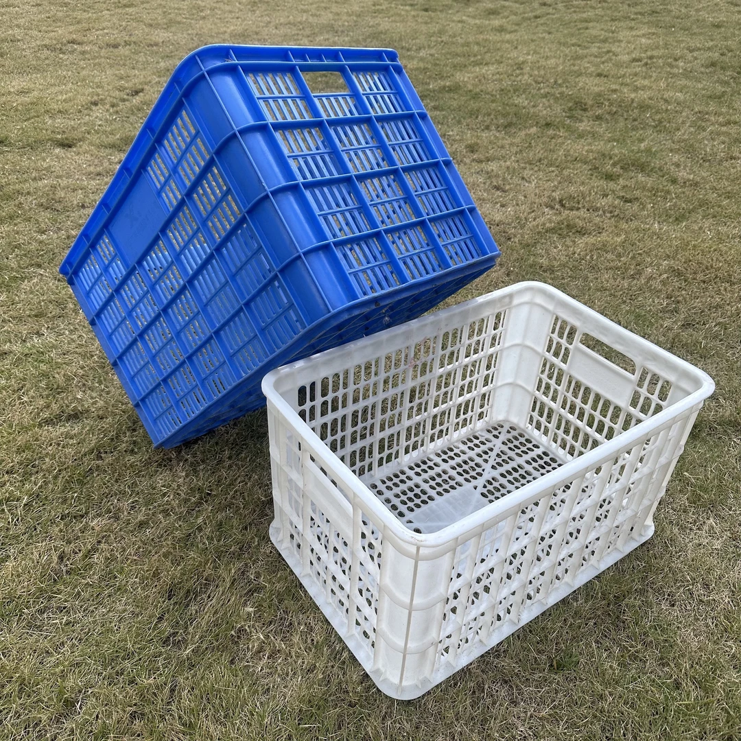 腾欣狮头鹅专用塑料筐中转框特大号1个