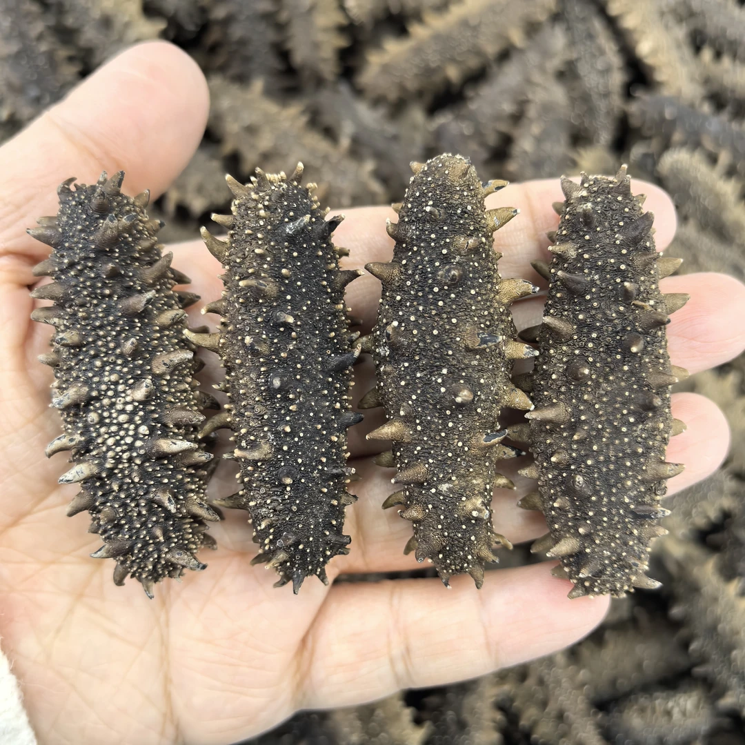 【高货】深海辽参海参深海滋补高品质滋补40头左右/斤500G