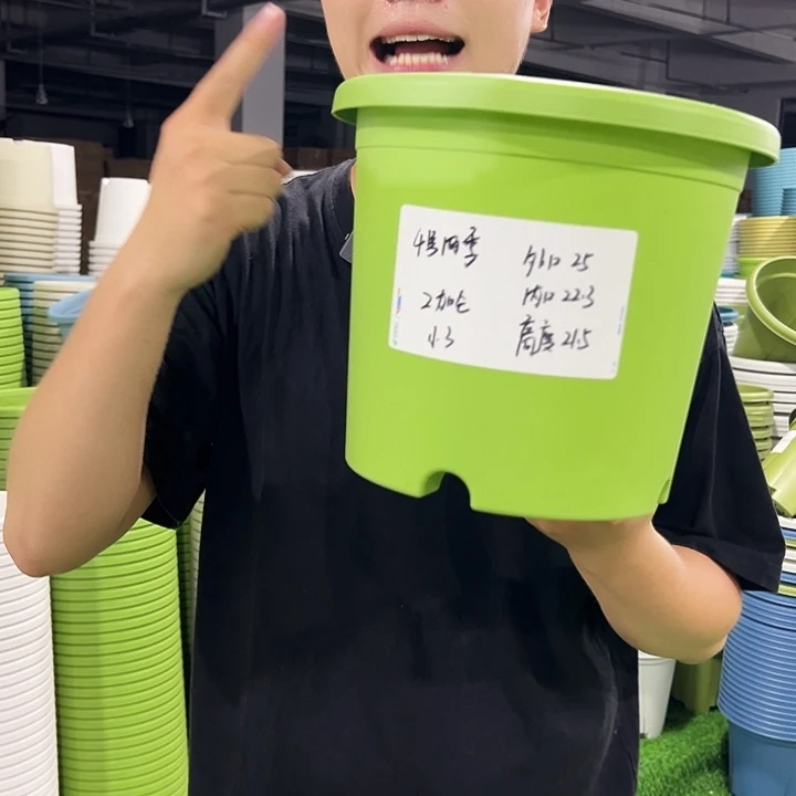 特价4号口25高21.5果绿色8只无托