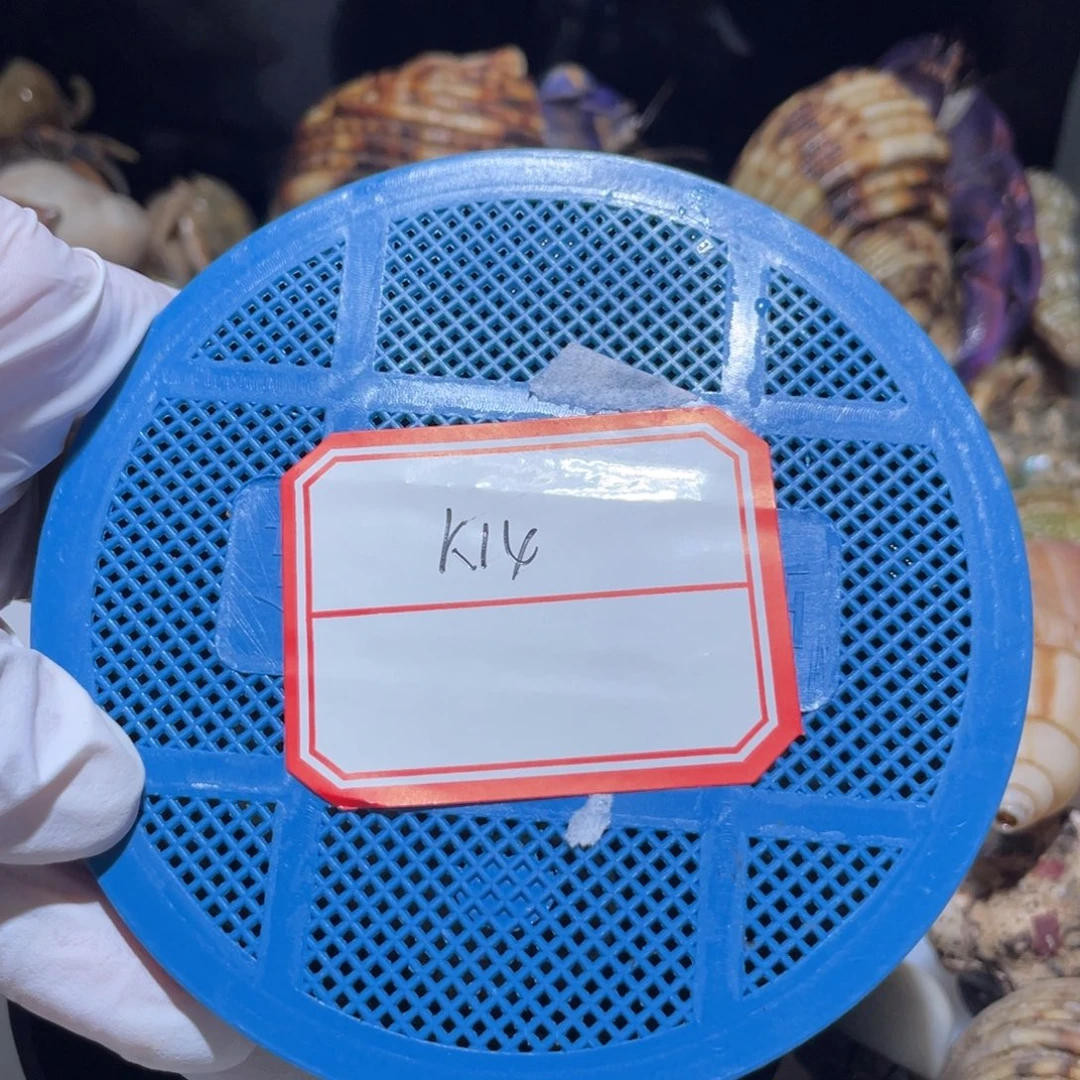 K15  盲盒  绵绵宝专拍