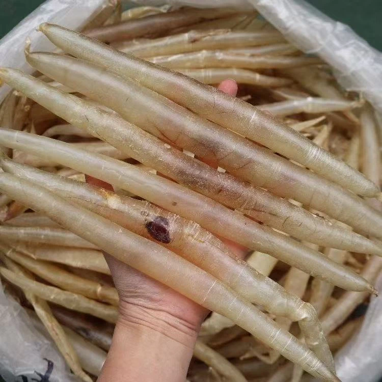 30头本港鳗鱼胶煲汤滋补品