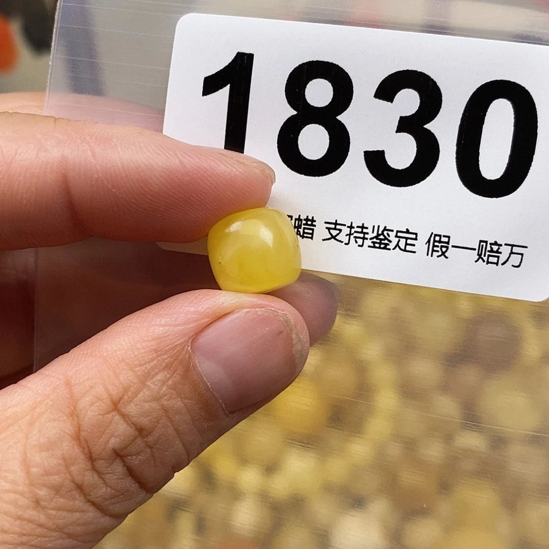 蜜蜡未镶嵌珠宝奇石11.2