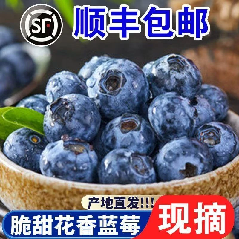 【顺丰包邮】 云南高山蓝莓 新鲜采摘 香脆甜露天种植 孕妈宝宝辅食