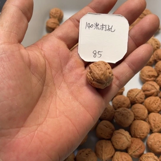 兜***药野生小核桃散籽批发