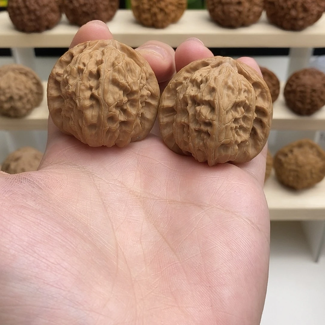 全品无修延庆白狮子41/42/38