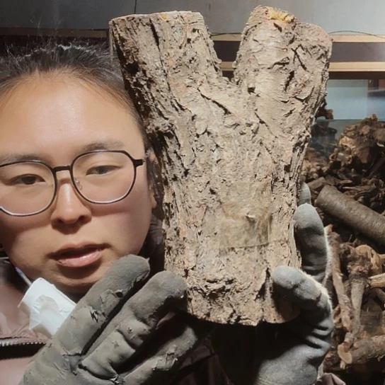 香榧木听*火琉璃的毛料摆件