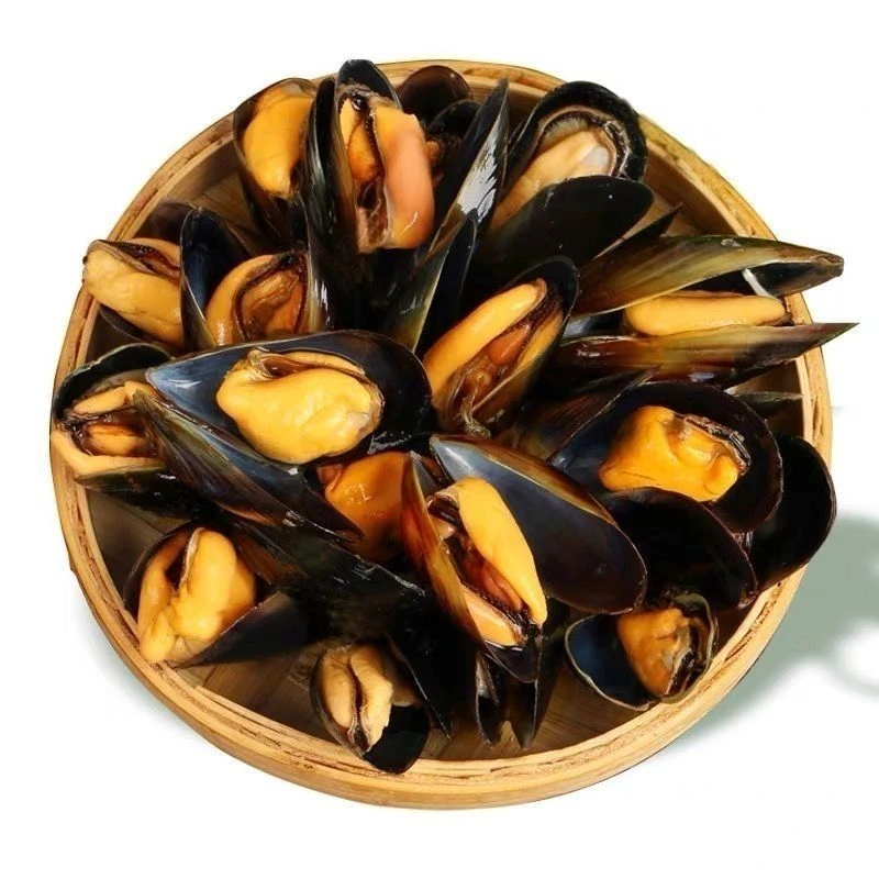 新鲜海虹青口贝 6斤装 顺丰快递