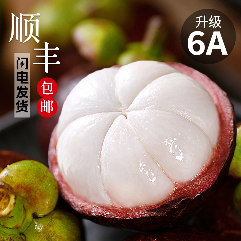 正宗泰国6A级大山竹新鲜山竹生鲜水果老树麻竹花油竹白嫩果肉多汁