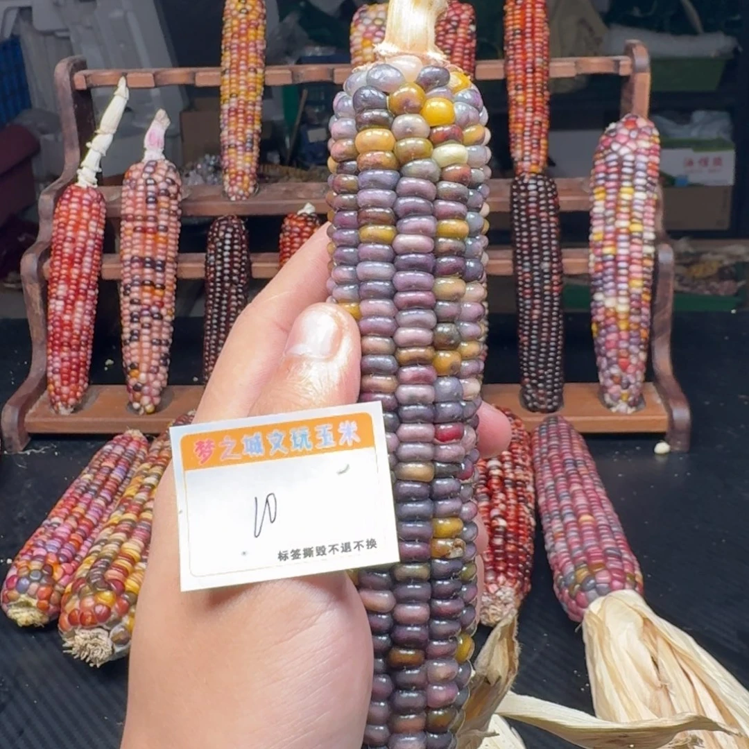 南***意大叶紫檀（黑酸枝木类）