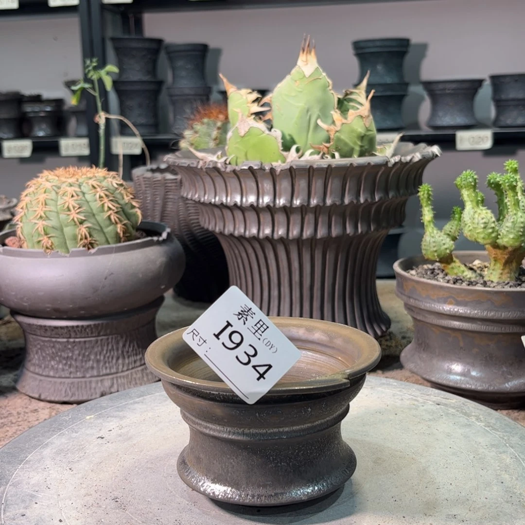 景德镇手工素里内口10高6.5瑕疵