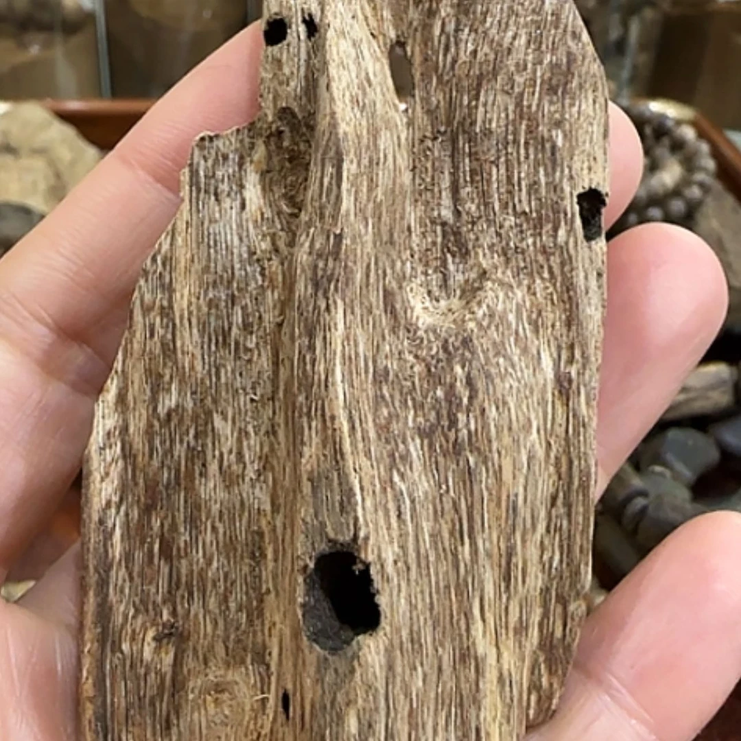 【闪购商品】沉香手串芽庄品香料10克