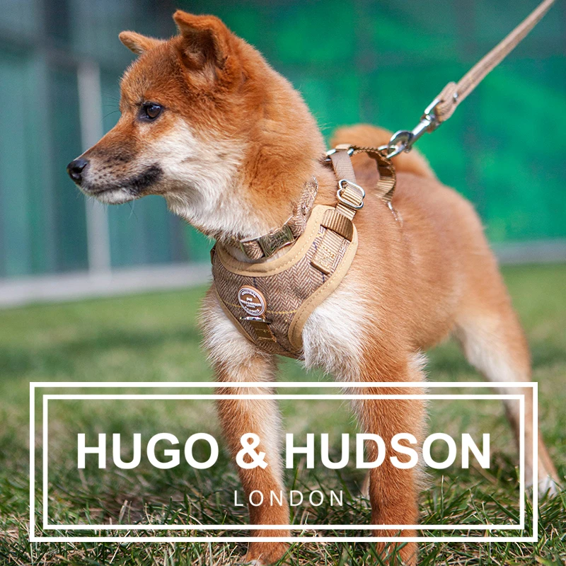 Hugo&Hudson狗狗宠物牵引绳胸背项圈三合一人字斜轻户外防挣脱