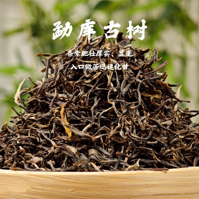 [瓦沧回味]勐库大雪山古树生茶 百年古树纯料2021年头春头采