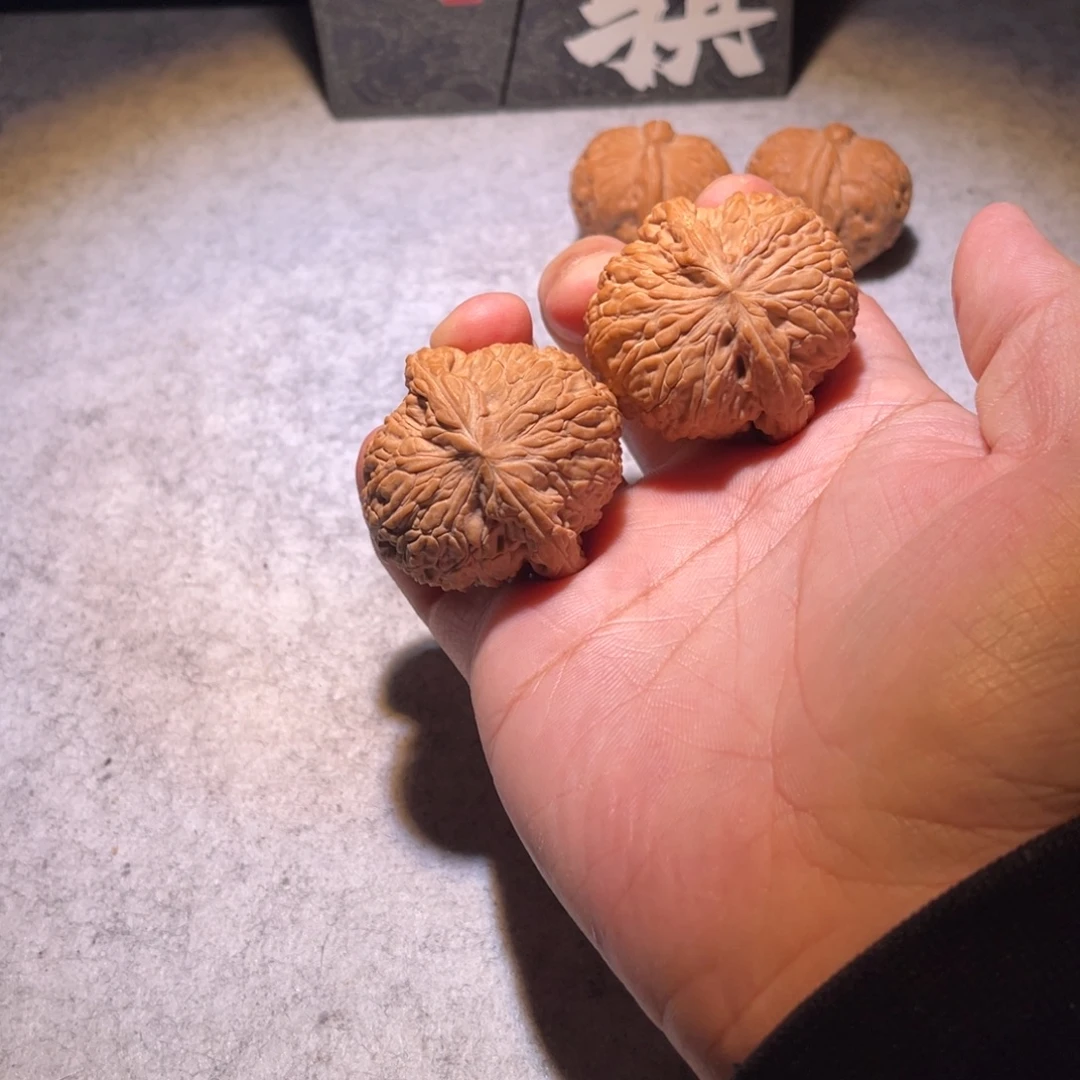 哈个v不要发v不好好保护剧场