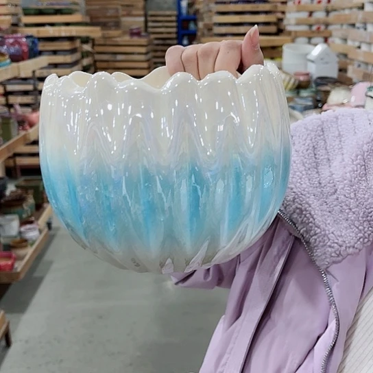 红陶直播间已有的人生