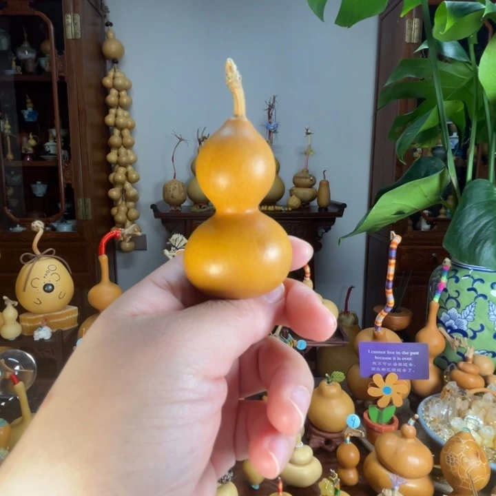 福福老皮葫芦厚皮响籽