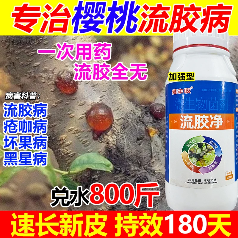 樱桃流胶病杀菌剂樱桃流胶病专用药微生物肥料果树流胶病专用药