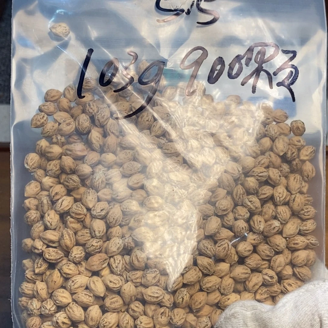 吊坠柏香籽/百香籽