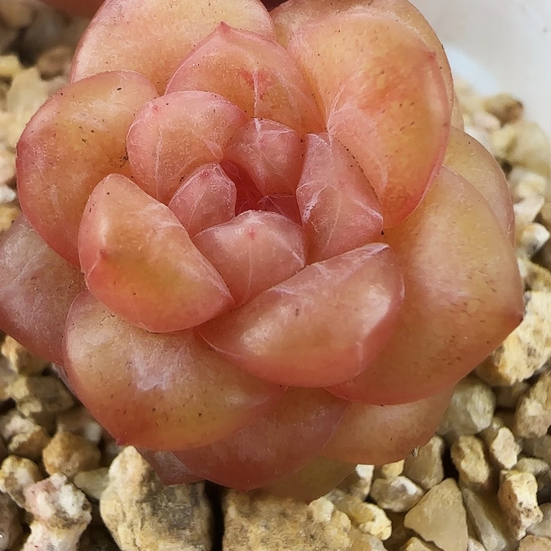 281号哈哈哈哈哈哈