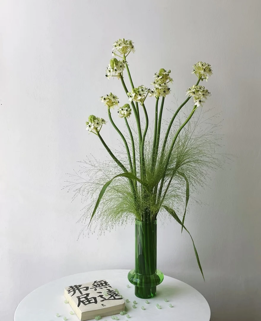 云南稀有高端鲜花天鹅绒室内小清新花束高品质花材