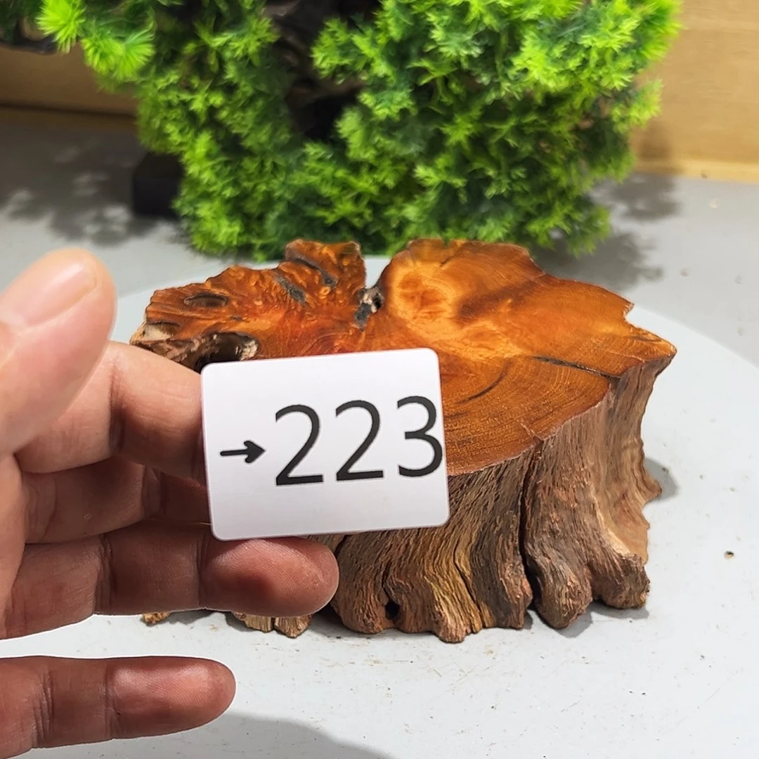 香榧木用****6火琉璃……