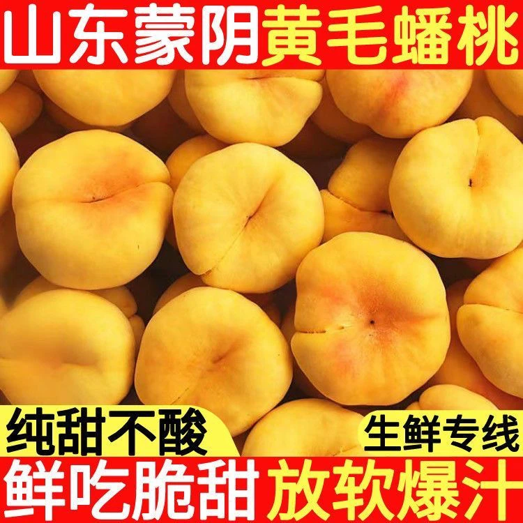品牌蒙阴蜜桃桃子软吃爆汁水蜜桃蜜甜蟠桃爆汁黄桃夏日水果水蜜桃