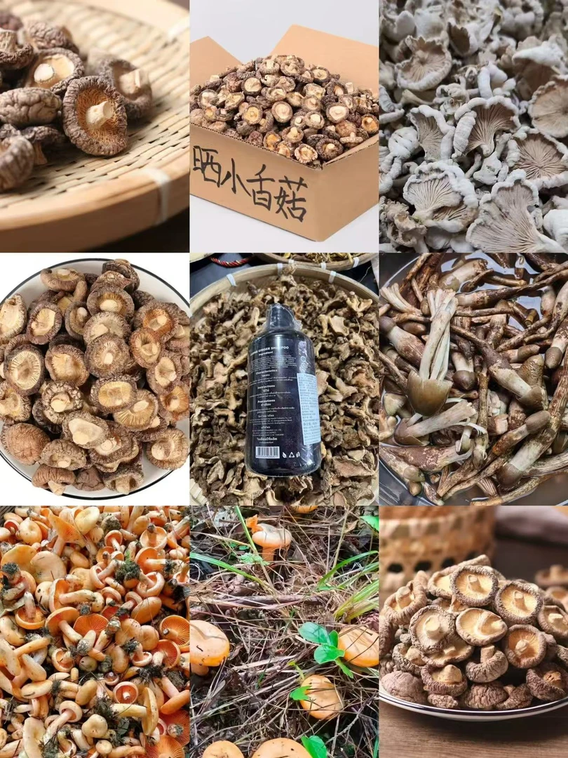 边境好货山货推荐 非香菇 黑姜
