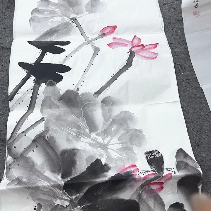 国画无毛和被绒毛或